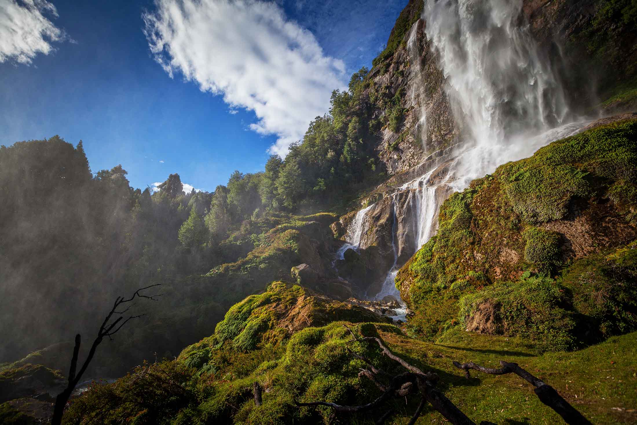 Cascada Parque Tagua Tagua