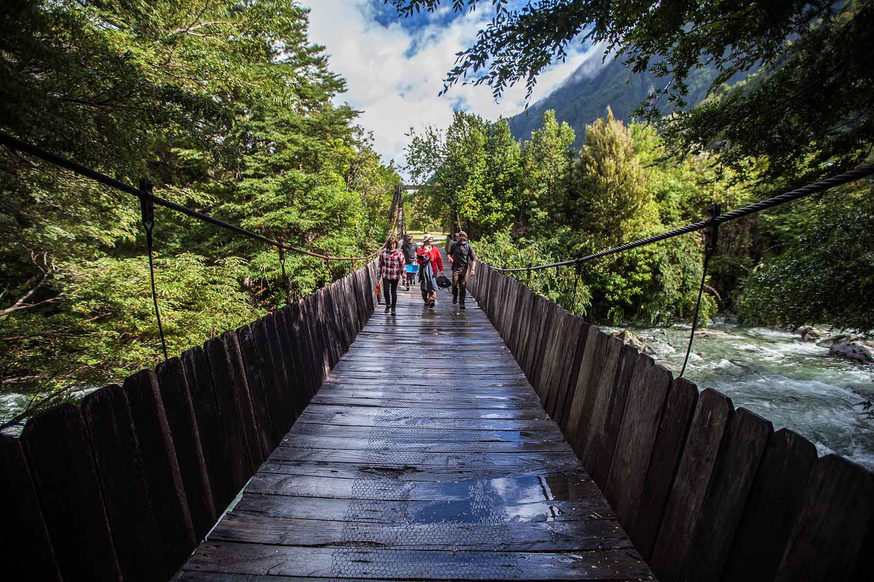 Puente Parque Tagua Tagua