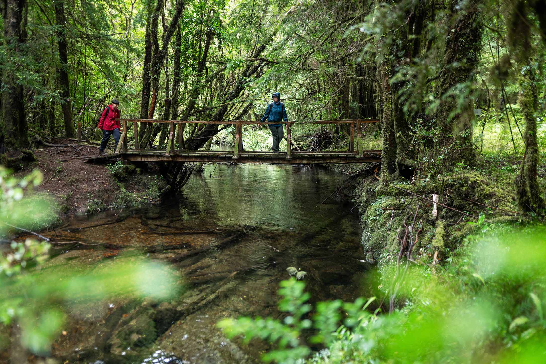 Puentes del sector 4 en Parque Tagua Tagua